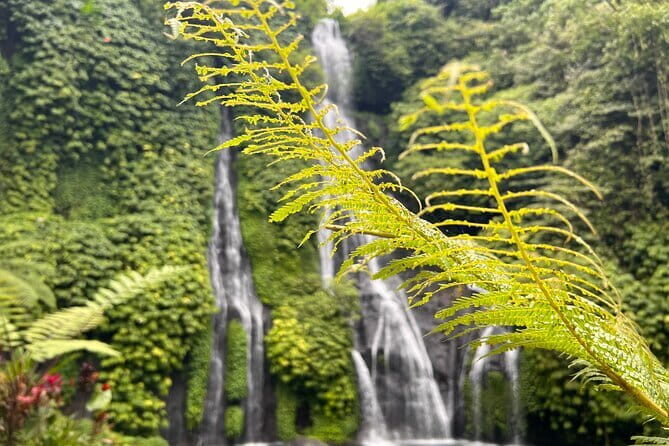 Bali Secret Waterfalls: Banyumala & Leke Leke Waterfalls - The Sum Up: Is This Tour Worth It?