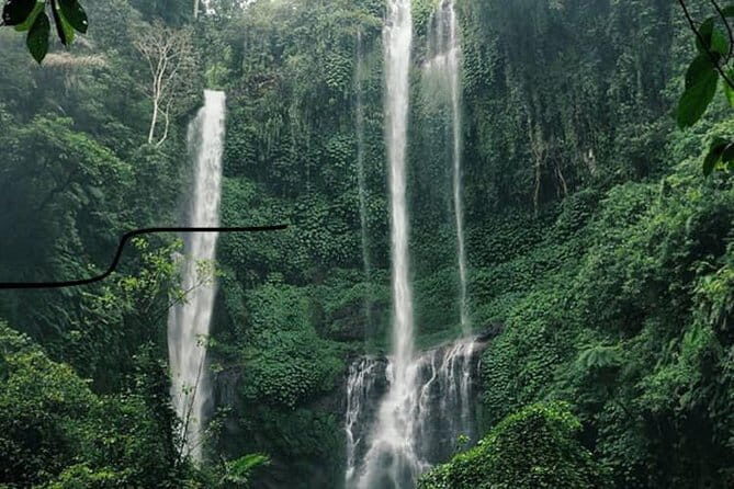 Bali Sekumpul with Fiji Waterfall & Bedugul Temple (Private Tour) - The Transport and Comfort Factor