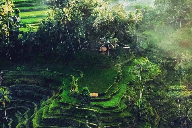 Bali Sightseeing - Final Thoughts