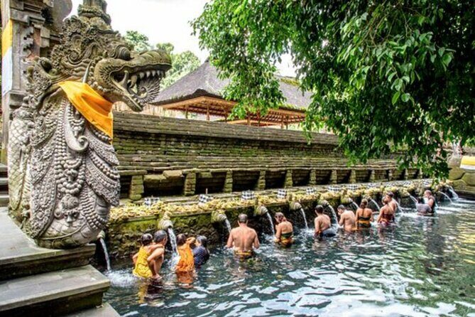 Bali Sightseeing Tour - Traditional village - Waterfall - FAQ