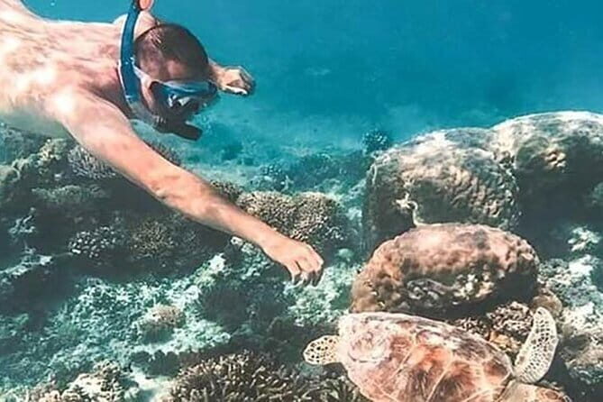 Bali Snorkeling at Blue Lagoon and Tanjung Jepun - Why This Tour Offers Great Value