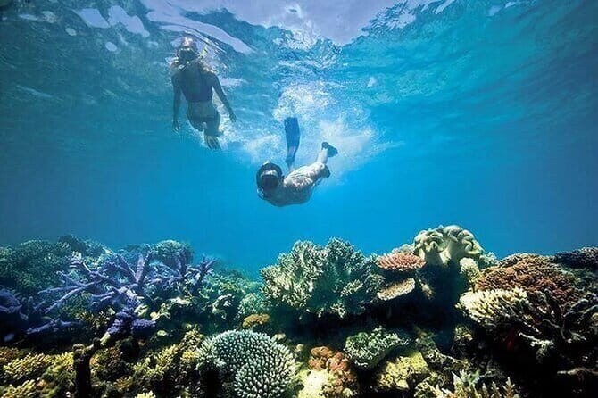 Bali Snorkeling at Blue Lagoon with Private Transfer - An In-Depth Look at the Bali Snorkeling Tour