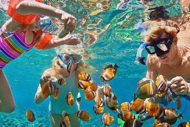 Bali Snorkeling at Blue Lagoon with Transport and Lunch - Key Points