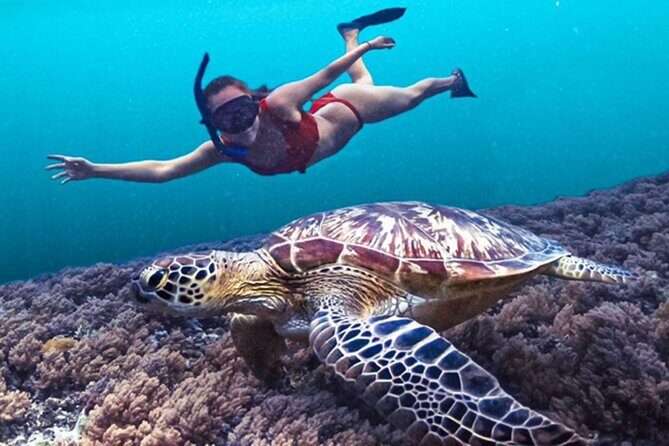 Bali Snorkeling at Blue Lagoon with Waterfall Include Lunch - Final Thoughts