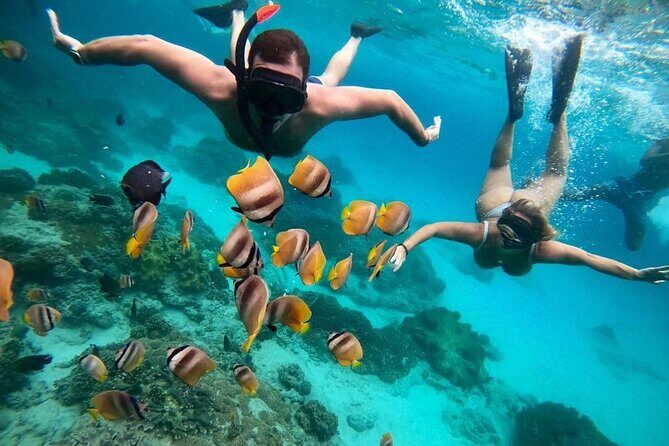 Bali Snorkeling At Bluelagoon Beach With Lunch Private Transport - Key Points