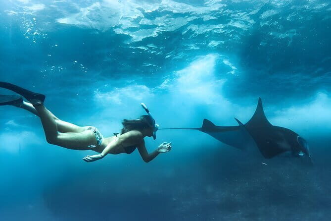 Bali Snorkling Blue Lagoon Beach with Lunch & Private Transport - Who Should Consider This Tour?