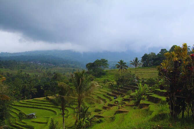 Bali Spiritual: Blessing Ceremony, Pristine Nature and Transfer - Jatiluwih Rice Terraces & Hidden Waterfalls