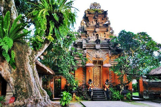 Bali Swing Experience and Ubud Tour - Who Should Consider This Tour?