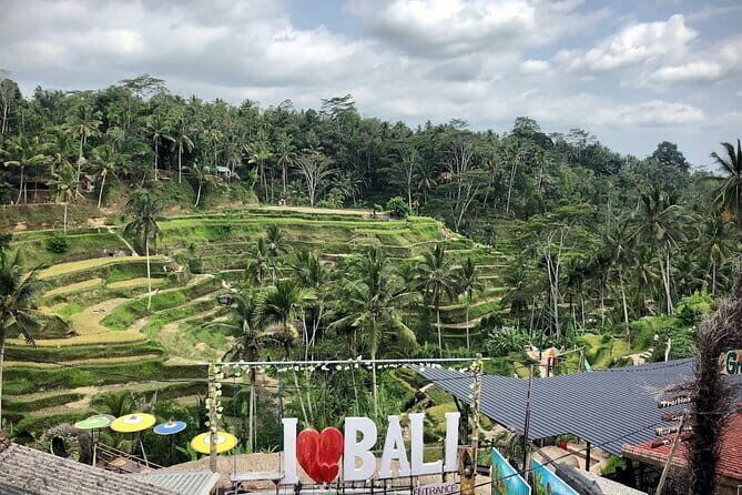 Bali Swing Packages and Kintamani Mt Batur Volcano View - A Deep Dive into the Experience