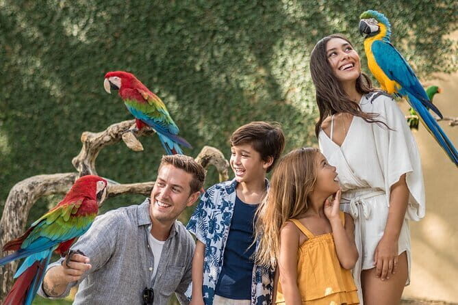BALI SWING Ticket Premium - Practical Tips for Your Visit