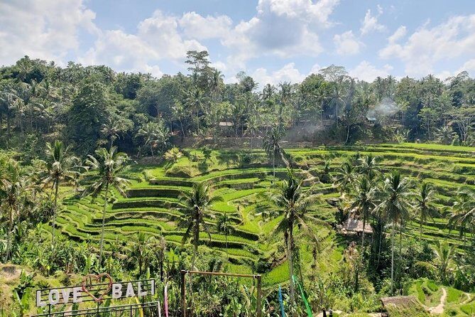 Bali Swing Ubud Private Day Tour - What’s Included and What’s Not