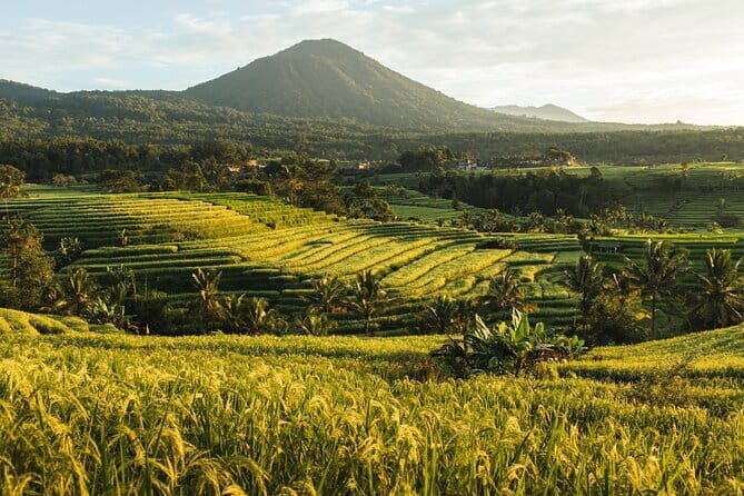 Bali Tanah Lot, Jatiluwih Rice Terraces, and Ulun Danu Beratan - An In-Depth Look at the Tour Experience