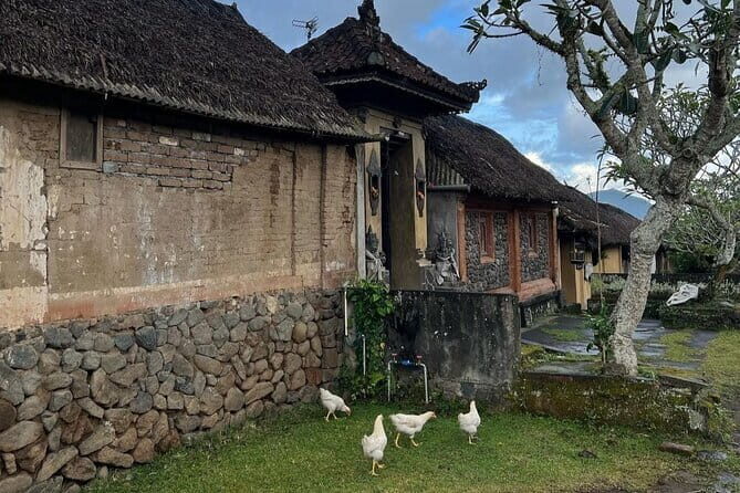 Bali Tirta Gangga, Taman Ujung, Tenganan Village and Beach - An In-Depth Look at the Experience