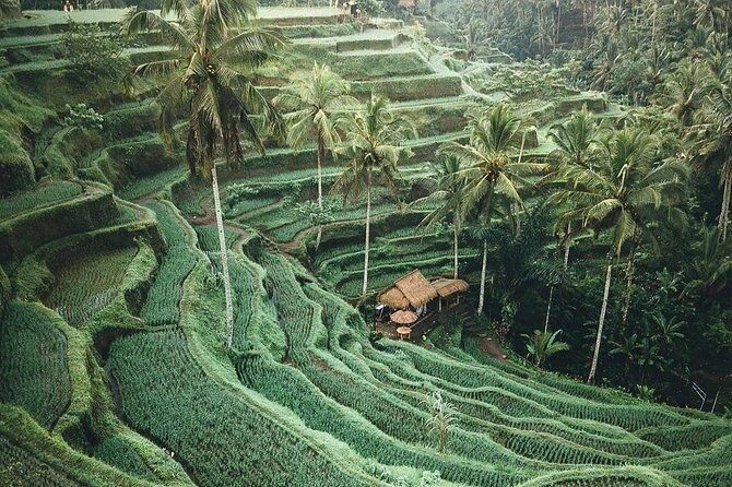 Bali Tour Customized With Local Guide - Potential Drawbacks or Considerations