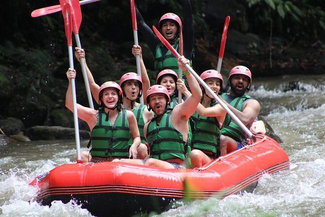 Bali Tour Customized with Private Tour Driver - An In-Depth Look at the Bali Private Tour