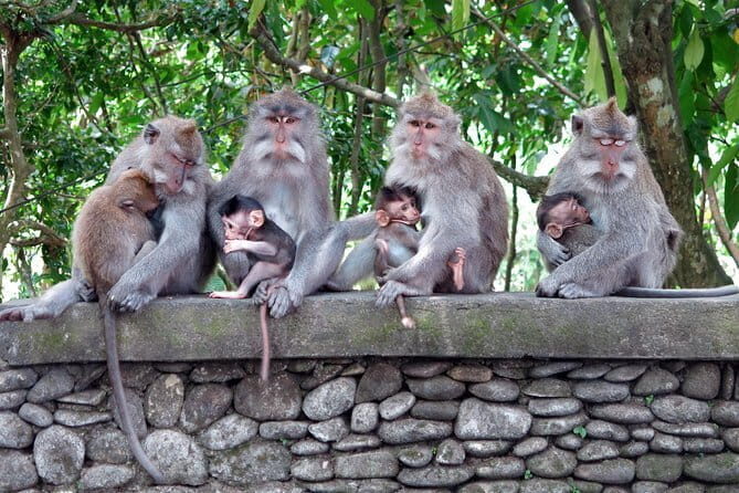 Bali Tour Driver - Authenticity and Value: How It Comes Together
