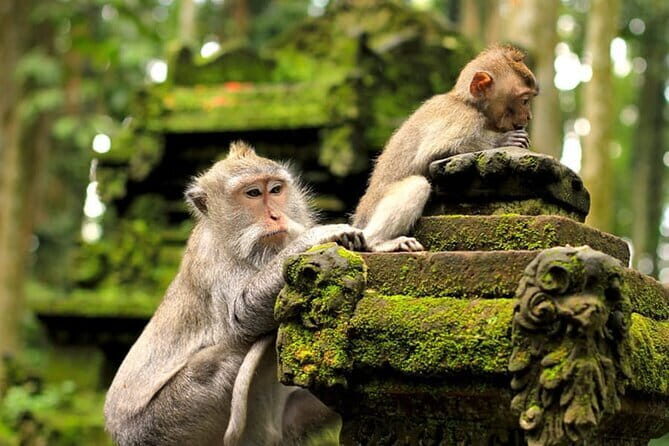 Bali Tour With Private Driver - Exploring the Itinerary and Key Stops