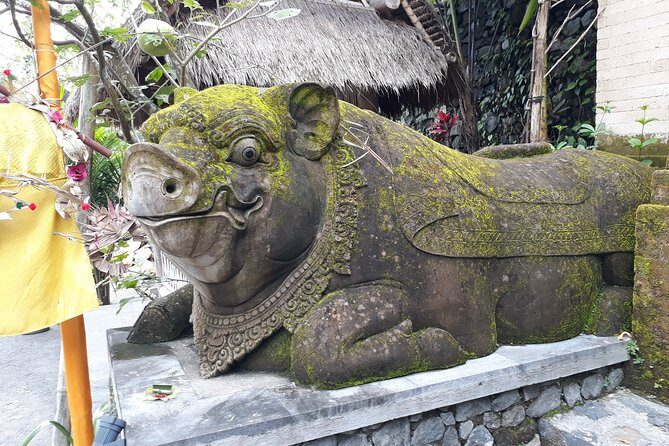 Bali Tours - A Deep Dive into the Bali Tour Experience