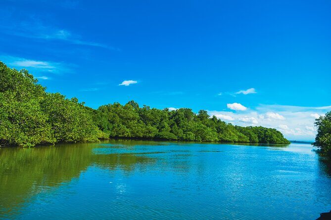 Bali Tropical Snorkeling and Mangrove Cruise - An In-Depth Look at the Tour Experience