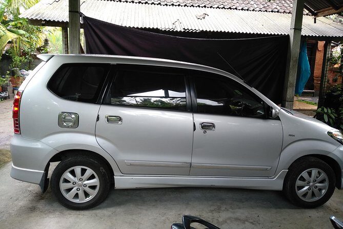 Bali Ubud Airport Pick Up and Drop to Hotel - Who Is This Service Best For?