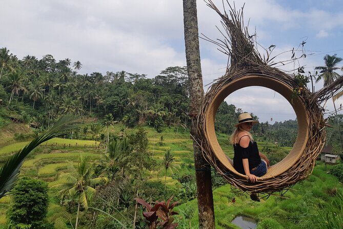 Bali Ubud Full Day All-Inclusive Private Tour  Best Private Tour - How the Tour Delivers Value