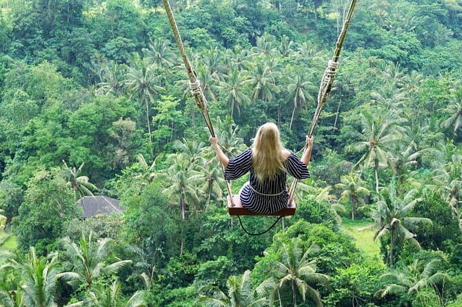 Bali Ubud Jungle Swing: Monkey Forest and Waterfall Private Tour - An In-Depth Look at the Tour