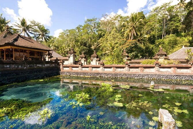 Bali Ubud Jungle Swing: Monkey Forest and Waterfall Private Tour - Authentic Experiences and Hidden Insights