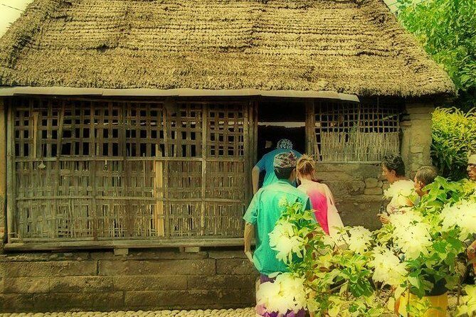 Bali Ubud & Kintamani Volcano Tour -All Inclusive - A Deep Dive into the Bali Ubud & Kintamani Tour