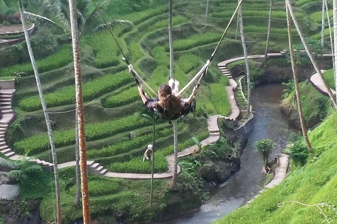 Bali Ubud Private Costomized Tour - Explore Bali your way - Authentic Experiences & Review Highlights