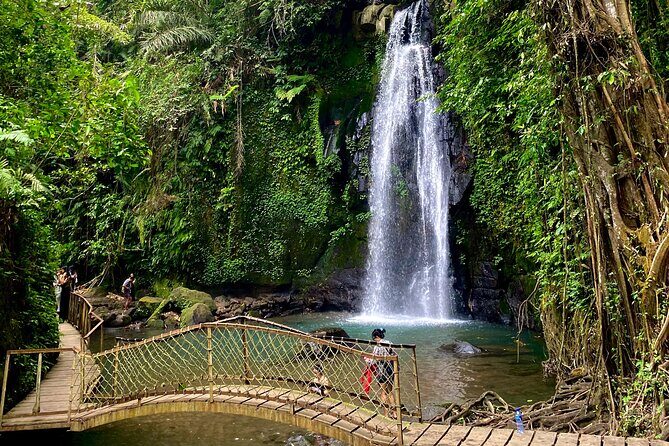 Bali : Ubud Private Tours - Who Will Love This Tour?