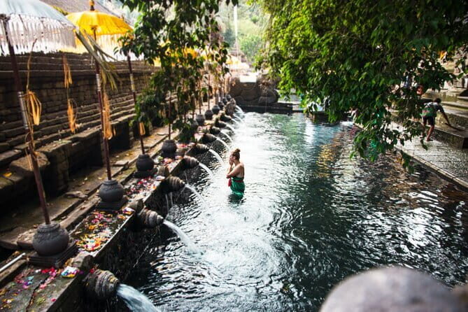 Bali: Ubud (Temple, Spring, Rice Terraces, & Waterfall) - A Deep Dive into the Tour Experience