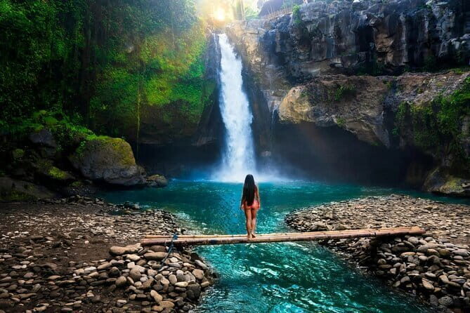 Bali: Ubud (Temple, Spring, Rice Terraces, & Waterfall) - Transportation and Logistics