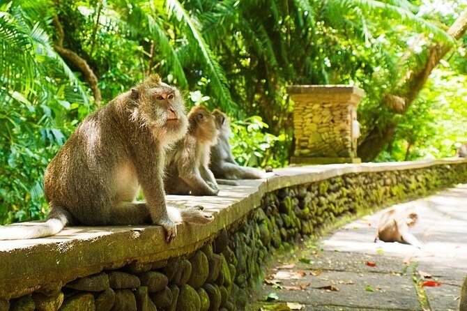 Bali Ubud Tour - Authentic Encounters and Expert Guidance