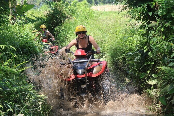 Bali Water Sports and Bali Swing Packages - Final Reflections: Who Will Love This Tour?