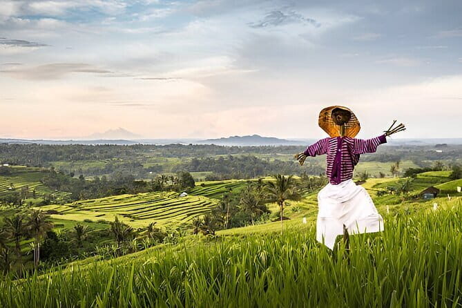 Bali Waterfall Wonders | A Nature Escape | All Inclusive - A Full Breakdown of the Bali Waterfall Wonders Tour