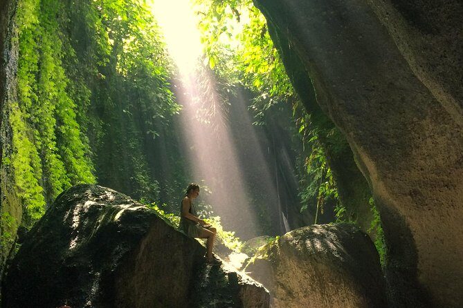 Bali Waterfalls and Temples Tour - An In-Depth Look at the Bali Waterfalls and Temples Tour