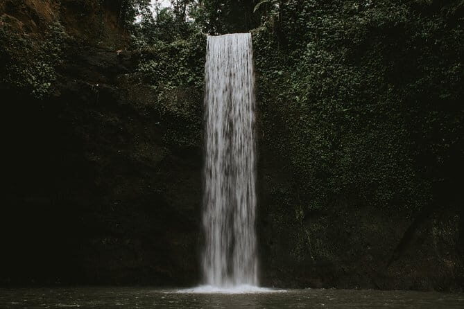 Bali Waterfalls Tours - Key Points