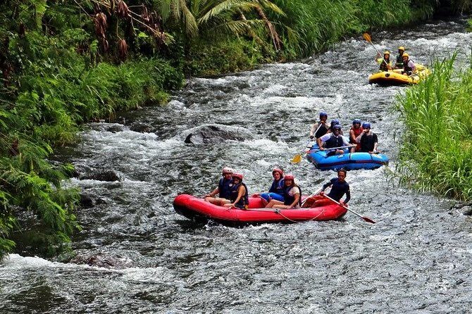 Bali White Water Rafting at Telaga Waja River - What to Expect from Your Bali White Water Rafting Tour