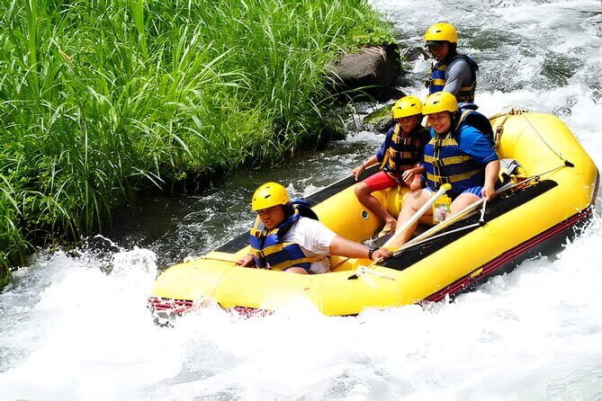 Bali White Water Rafting Ayung river Ubud - The Sum Up: Who Is This Tour Best For?