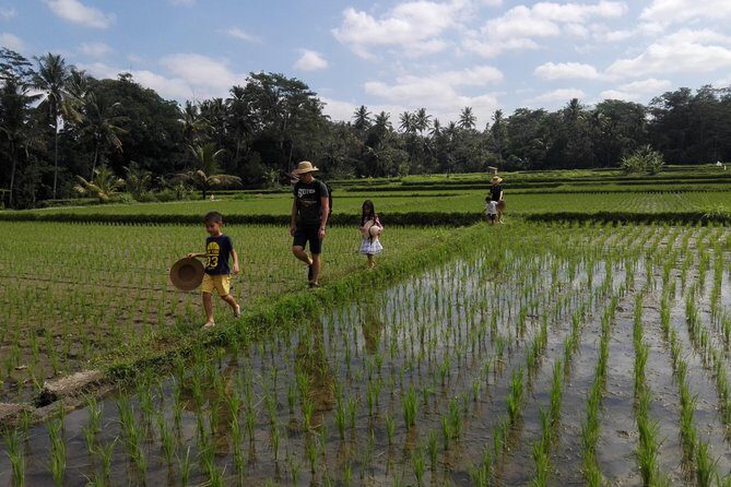Balinese Cooking Class at Organic Farm - Who Will Love This Tour?