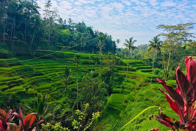 Balinese culture including tukad cepung waterfall - The Sum Up