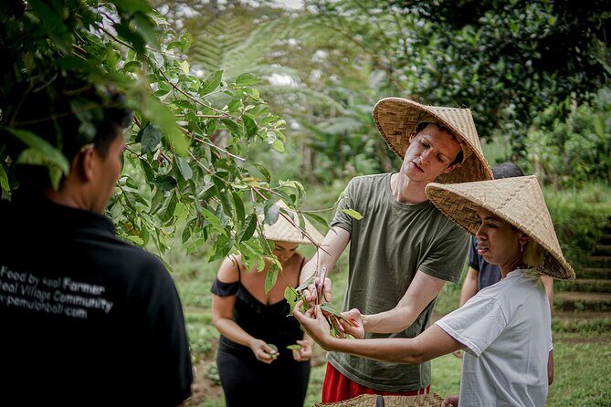 Balinese Farm Cooking Class by Pemulan Bali - A Closer Look at the Cooking Class Experience