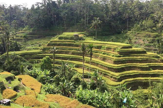 Balinese Life Style Tour - In The Sum Up