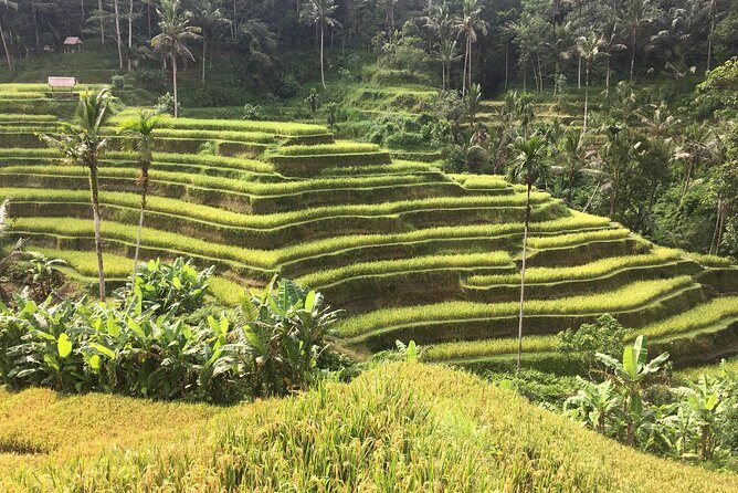 Balinese Life Style Tour - FAQ