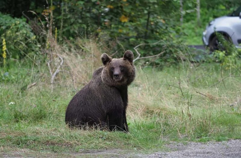 Balkans - Romania: 12-Days Motorcycle Tour 16.08. - 28.08.26 - Who Will Love This Tour?