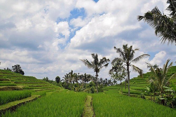 Balliswing.Feel the natural breeze as you paddle a giant swing in the stunning scenery!Instagram-worthy photo spot / Round trip hotel transfers included - Key Points