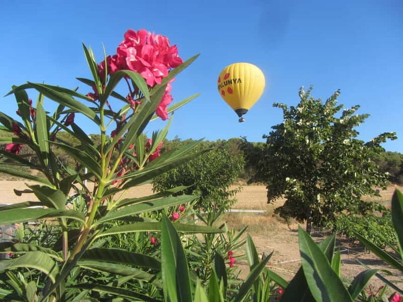 Balloon flight: panoramic view of Montserrat and Transport from Barcelona - An Authentic and Scenic Balloon Adventure near Barcelona