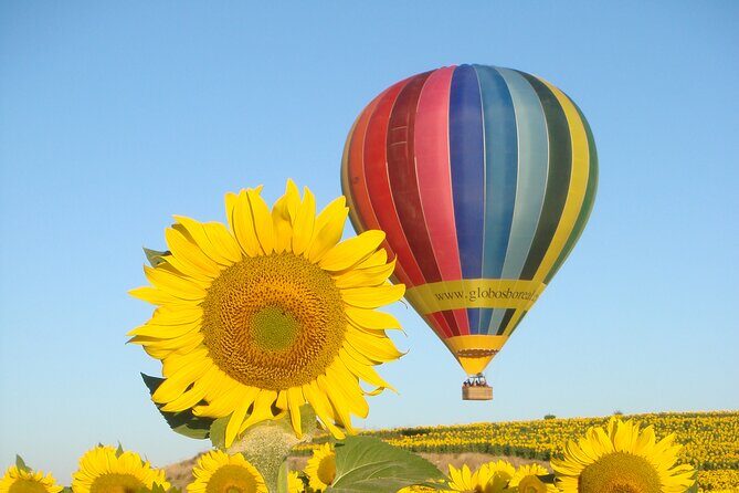 Balloon Rides in Segovia with Optional transportation from Madrid - Analyzing the Cost and Value