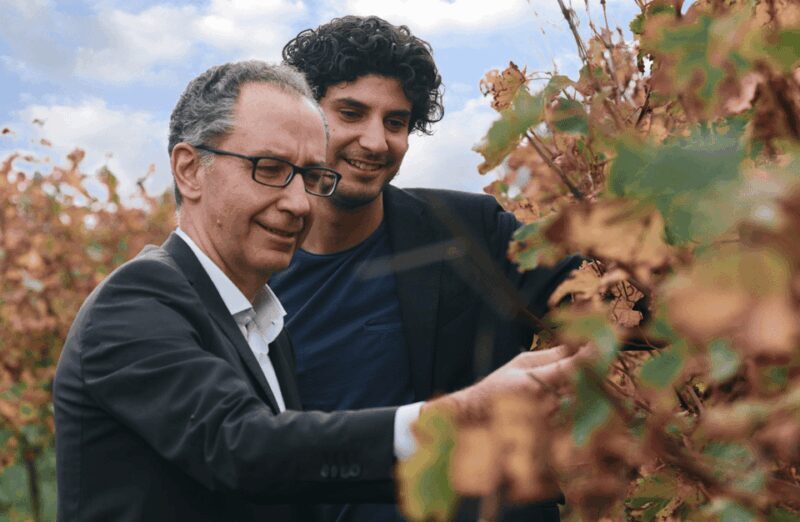 Balsamic Vinegar Tasting & Barrel Tour near Parma & Reggio - Exploring the Balsamic Vinegar & Barrel Tour near Parma & Reggio Emilia