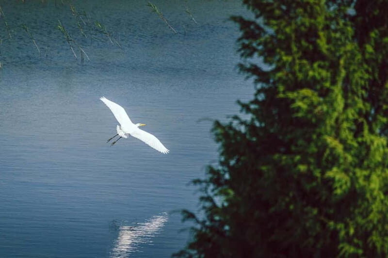 Baltic Sea Coastal Scenery and Cape Kolka From Riga - FAQ